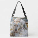 Recherche de labrador jaune sacs Animal