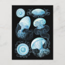 Recherche de haeckel cartes postales Science