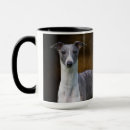 Recherche de whippet tasses Amoureux de les chiens