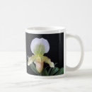 Recherche de pantoufle tasses Orchidées