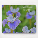Recherche de iris photographie Jardin