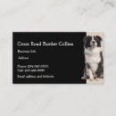 Recherche de colley cartes visite Dog