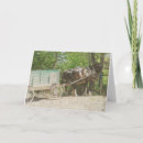 Recherche de cheval et chariot Équin