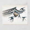 Recherche de hirondelles cartes postales Nid