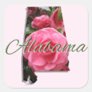 Recherche de camélia autocollants Camellias