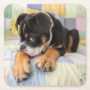 Recherche de old dessous de verres Humour