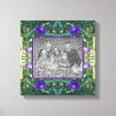 Recherche de morning glory Nature