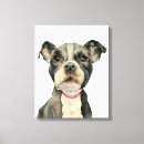 Recherche de animaux portraits Mignon