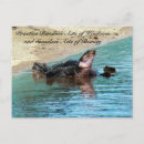Recherche de amphibiens cartes postales Floride