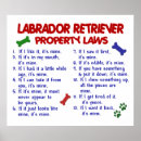 Recherche de labrador retriever posters Cute