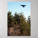 Recherche de corneille art Unique