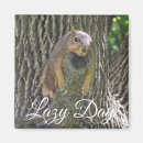 Recherche de squirrel magnete Nature