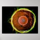 Recherche de système immunitaire posters Science