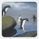 Recherche de kevin autocollants Oiseau