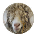 Recherche de chèvre planches à découper Animaux de ferme