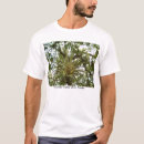 Recherche de bromelliad Bromeliads