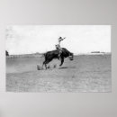 Recherche de équitation de taureau posters Ouest