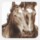 Recherche de portrait de cheval autocollants Portraits