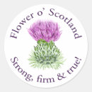 Recherche de fleur nationale autocollants Écossais
