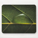 Recherche de photosynthèse tapis souris Nervure de feuille