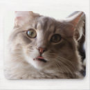 Recherche de concentration tapis souris Nature