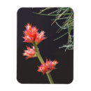 Recherche de tige magnets Fleurs