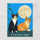 Recherche de pleine lune chat cartes postales Chats