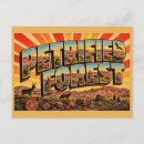 Recherche de désert peint cartes postales Forêt pétrifiée