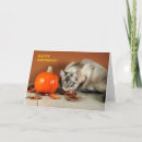 Recherche de chat et citrouille Feuilles
