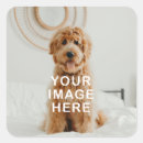 Recherche de chiens loisirs créatifs Toute personne