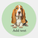 Recherche de chien de basset autocollants Animal de compagnie