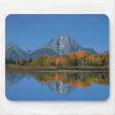 Recherche de tetons tapis souris Wyoming
