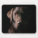 Recherche de labrador retriever tapis souris Brun