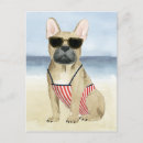 Recherche de chien boxeur cartes postales Animal