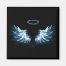 Recherche de j aile magnets Ailes