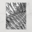 Recherche de chrome cartes postales Argent