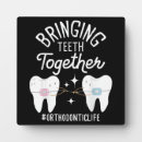 Recherche de dents plaques Dentiste