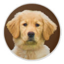 Recherche de chien brun boutons et poignées de porte Pour tous