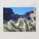 Recherche de chola vœux cartes Cholla