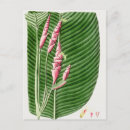 Recherche de belle nature cartes postales Illustration