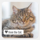 Recherche de love cat autocollants Chat