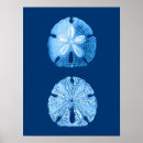 Recherche de dollar art Nautique