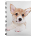 Recherche de corgi carnets Chien de la reine