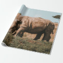 Recherche de la afrique papier cadeau Nature