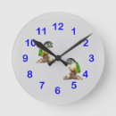 Recherche de conures Animal