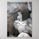 Recherche de animal puma posters Panthère