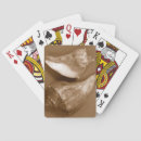 Recherche de coquilles jeux de cartes Coquille de mer