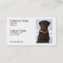 Recherche de chocolat labrador cartes visite Laboratoire de chocolat