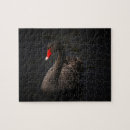 Recherche de cygnes puzzles Oiseau