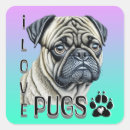 Recherche de carlins mignons autocollants Amoureux de les chiens